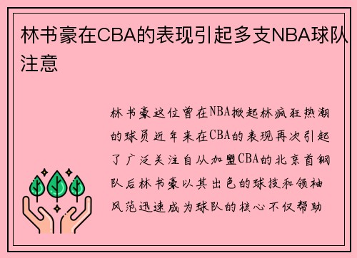 林书豪在CBA的表现引起多支NBA球队注意